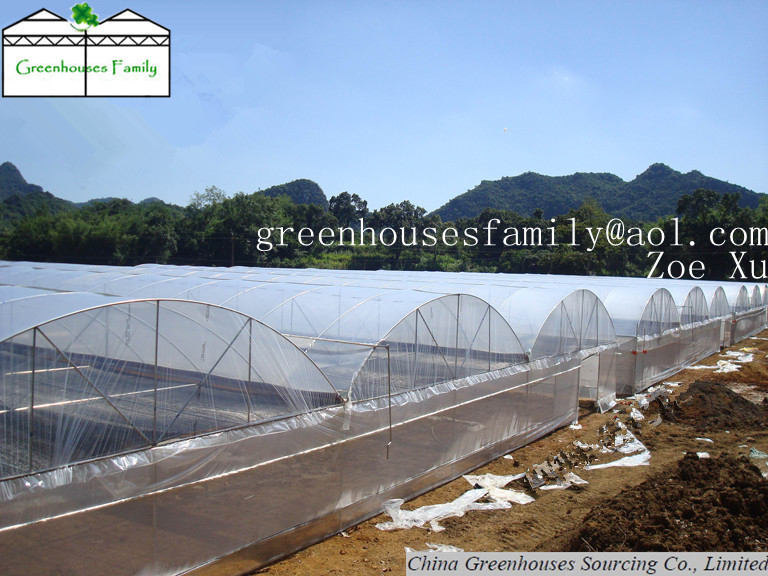 Ploytunnel Greenhouses for Sell Made in Korea